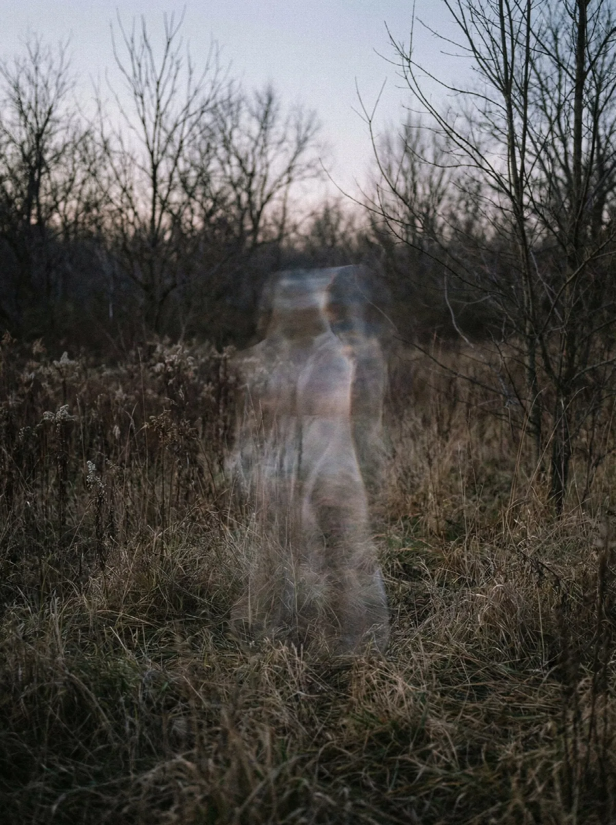 The Almost Invisible Visitor