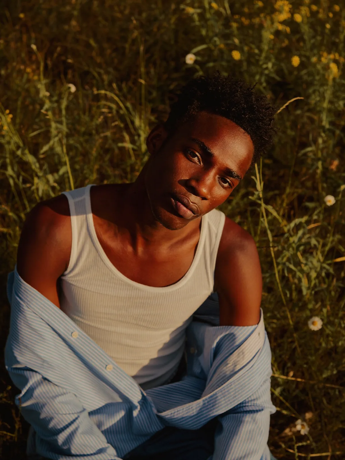 Golden Hour in the Meadow