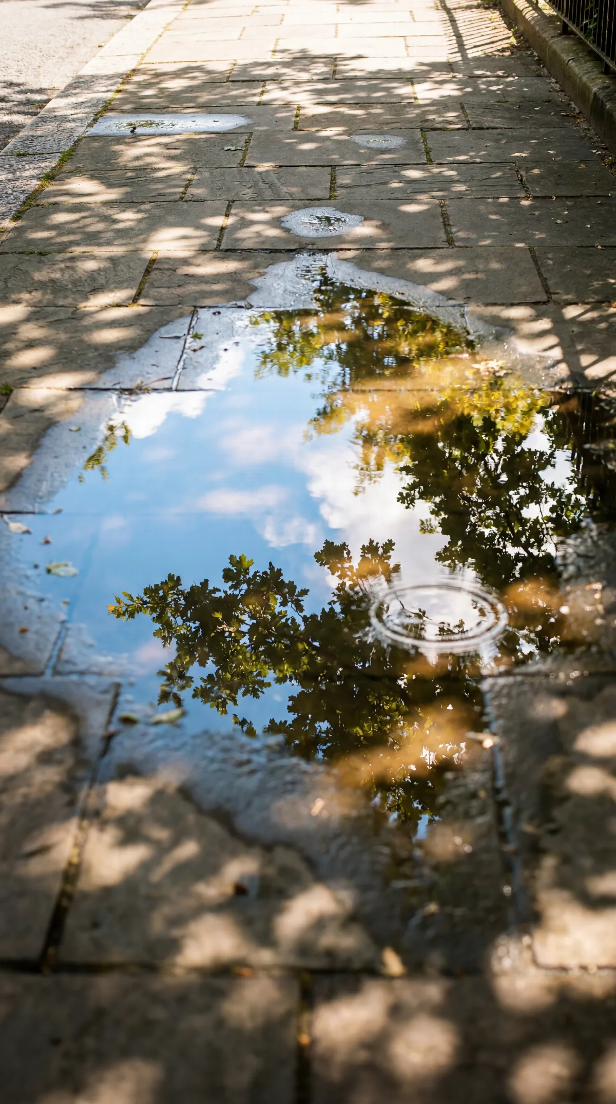 Sky in a Rain Puddle