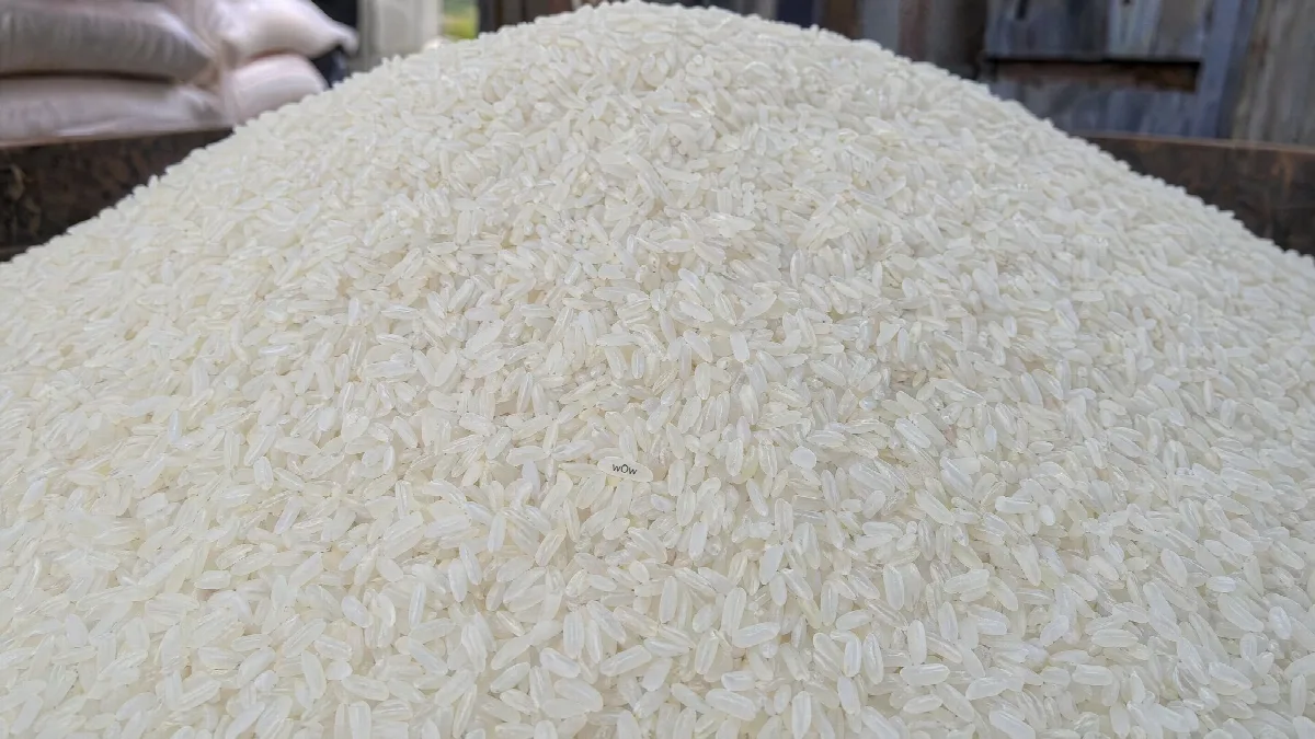 Tiny Word on Rice
