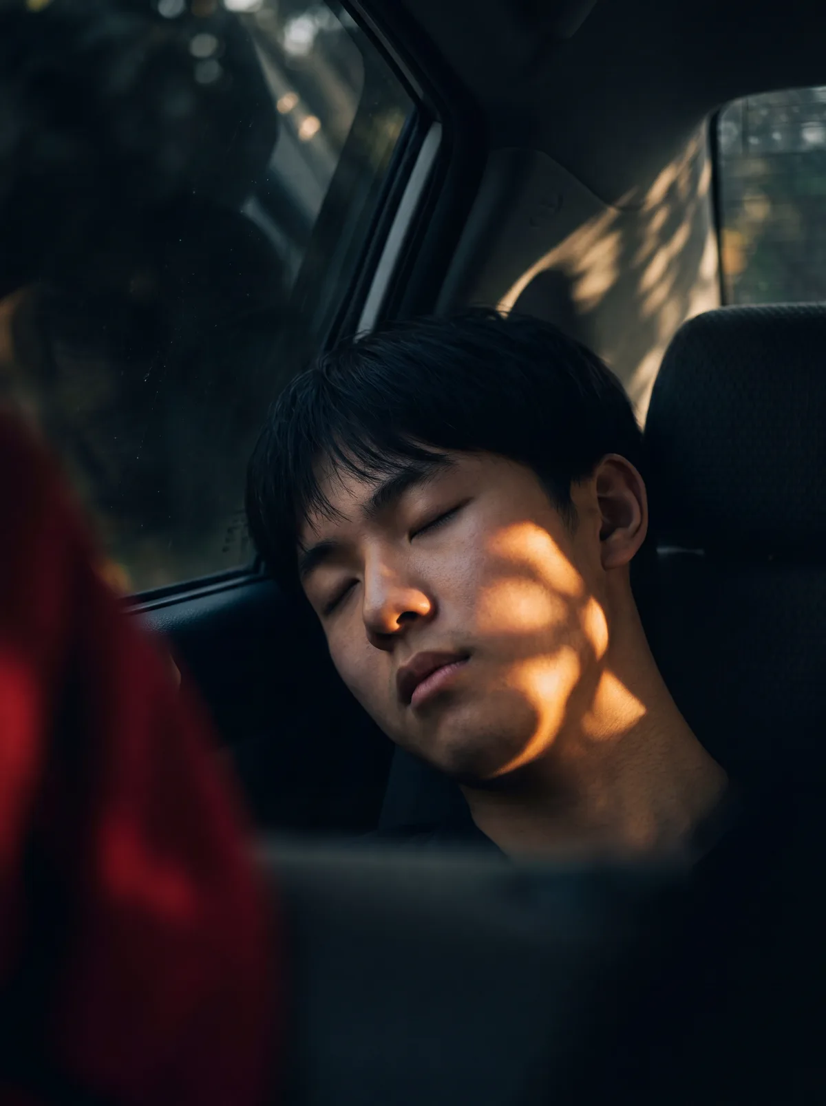 Asleep in Dappled Sunlight