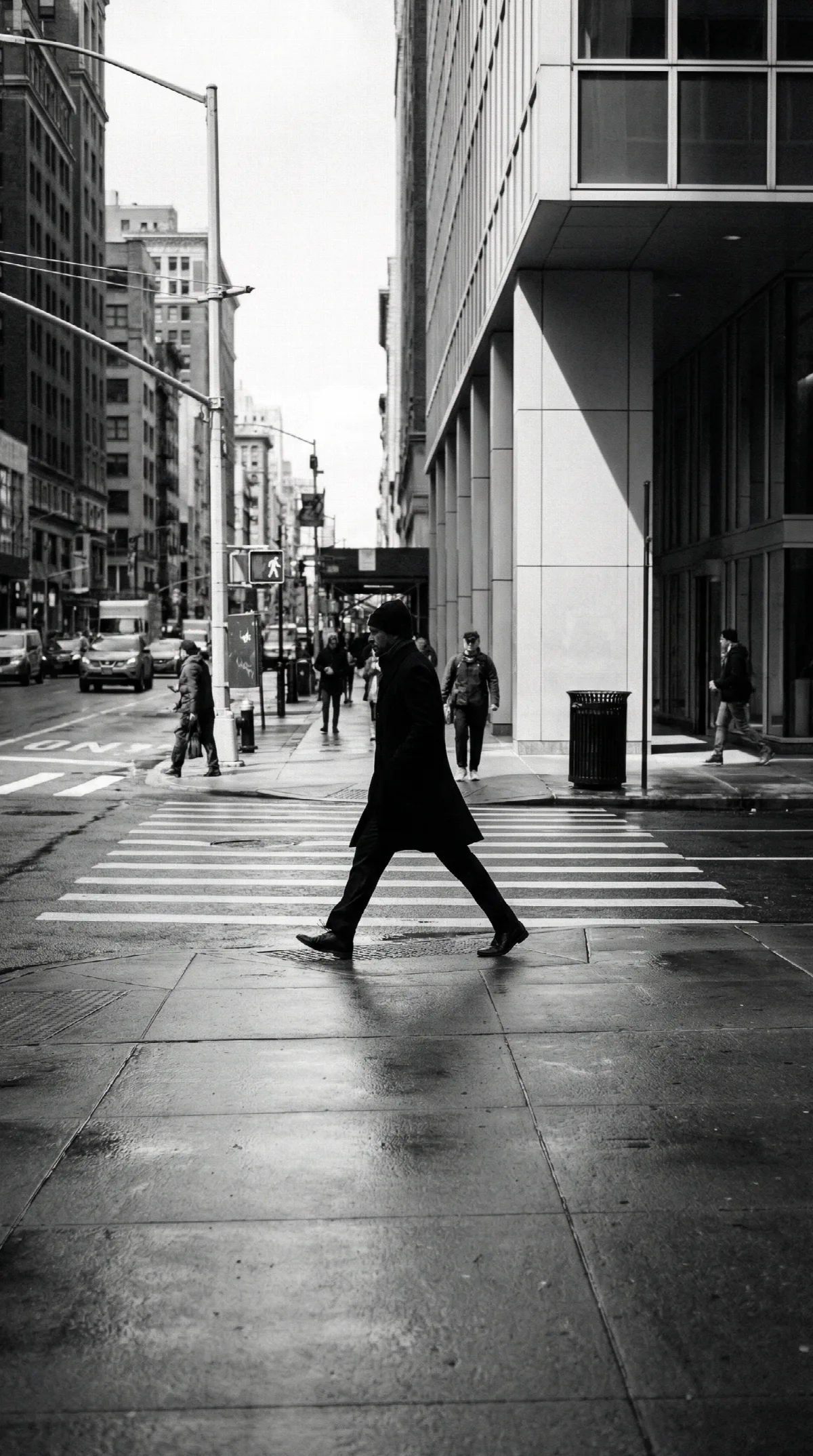 Monochrome Street Crossing