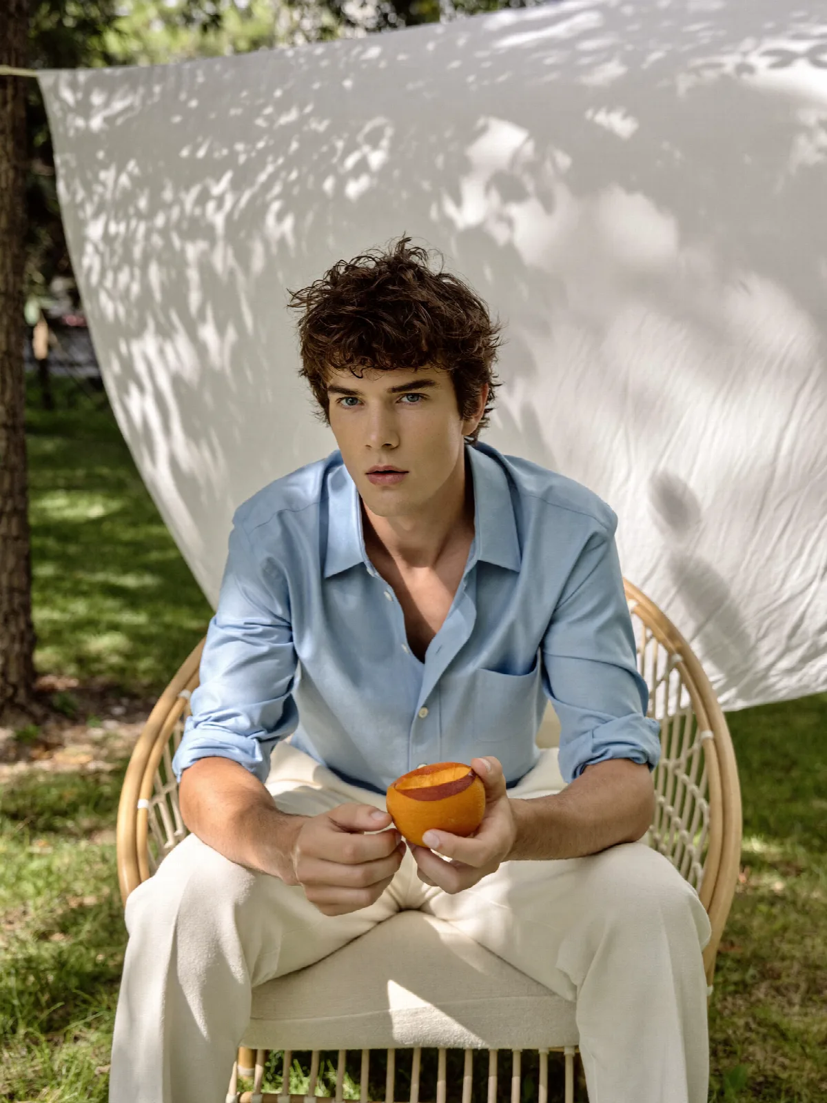 An Orange in the Summer Garden