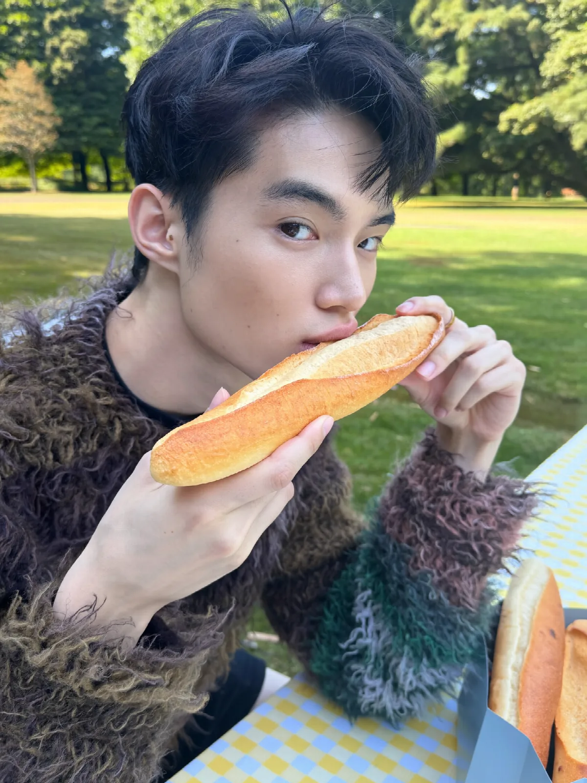 Picnic with a Baguette