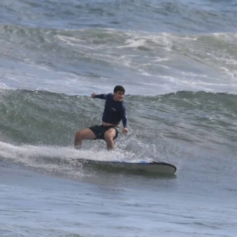 Surfing with Dolphins