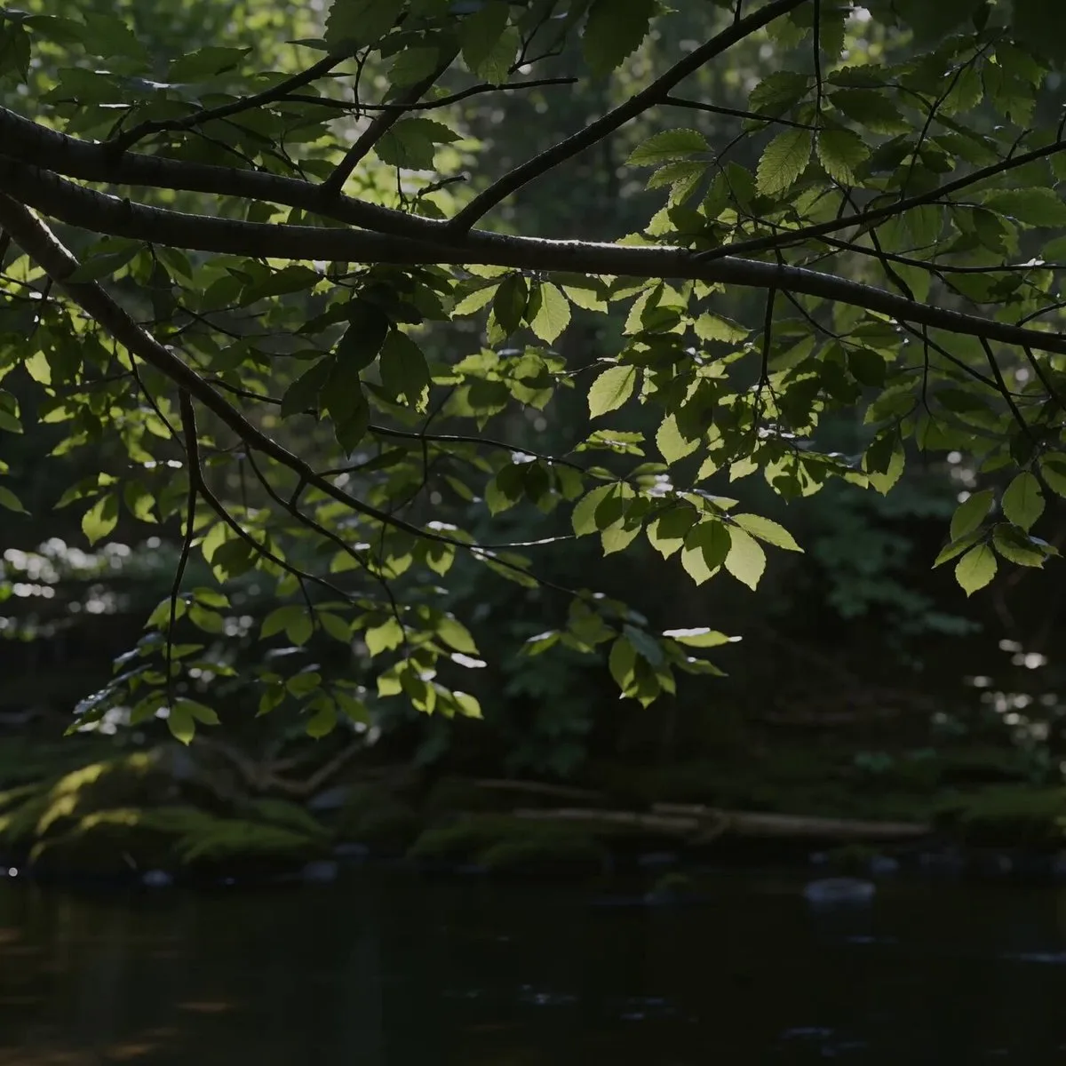 Woman on a Mossy Riverbank