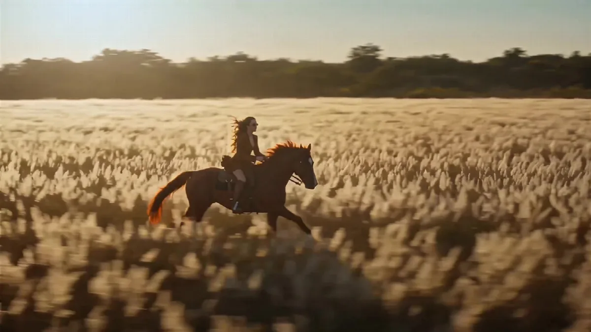 Horse Ride at Golden Sunset