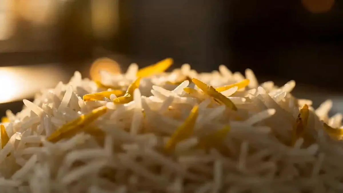 Chicken Biryani Commercial