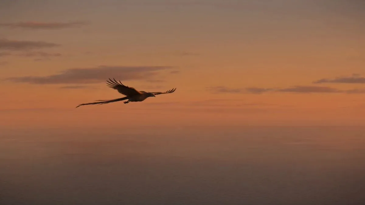 Golden Hour Firebird