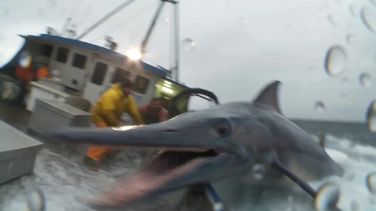 Fishermen Catch Sea Monster
