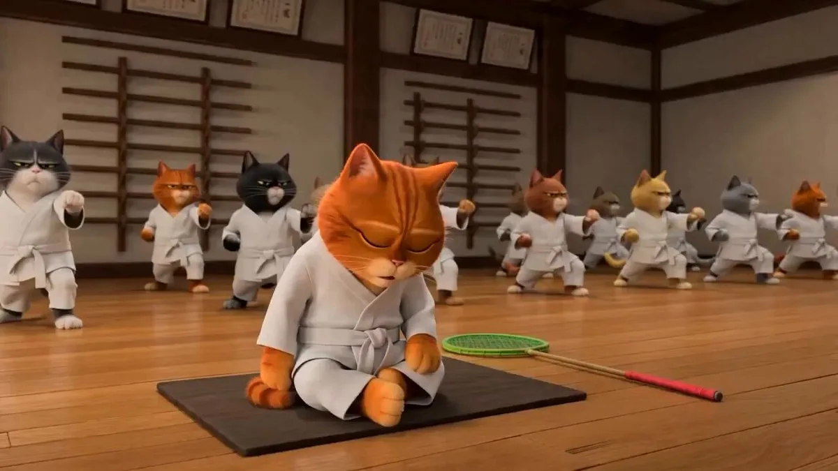 Taekwondo Cat Chase