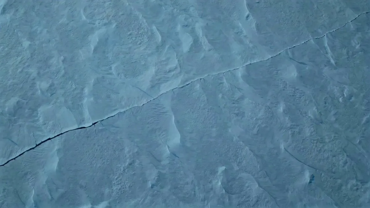 Antarctic Leviathan