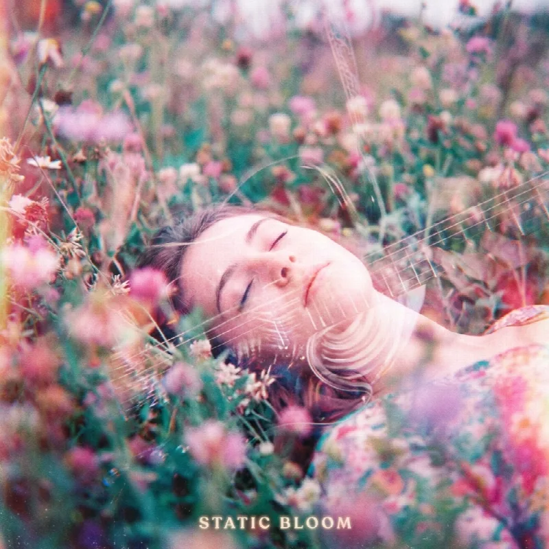 Static Bloom